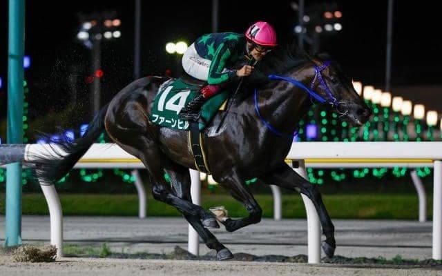 【大井・アフター5スター賞枠順】転入初戦快勝のファーンヒルは6枠11番