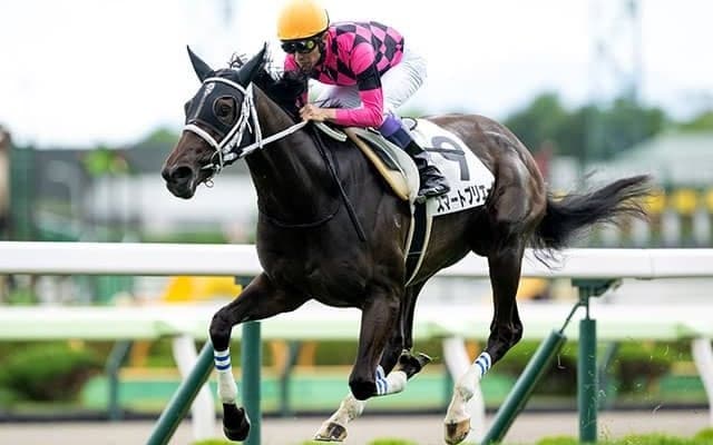 【札幌2歳S想定騎手】スマートプリエールは武豊騎手、ショウナンガルフは池添謙一騎手