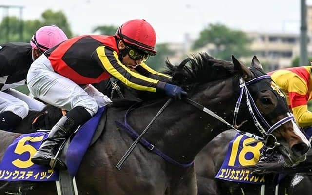 【紫苑S想定騎手】リンクスティップは北村友一騎手、ジョスランはC.ルメール騎手