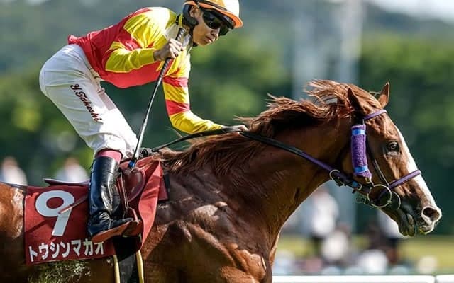 【セントウルS想定騎手】トウシンマカオは横山武史騎手、ママコチャは岩田望来騎手