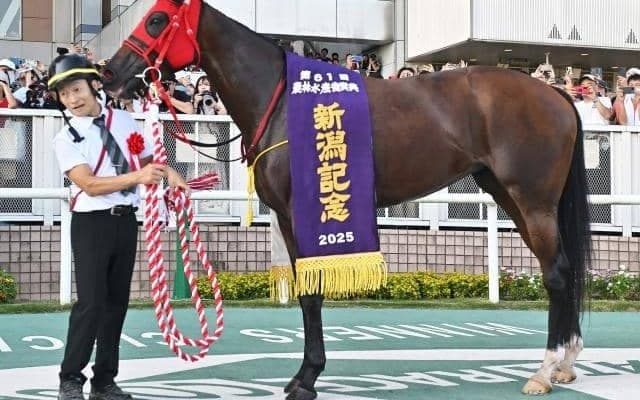 シランケドは「連対率40％」の配合パターンに該当 新潟記念覇者の血統背景を深掘り