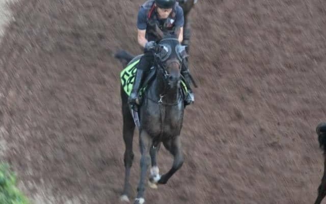 アランカールなど、先週の入厩情報/栗東トレセンニュース