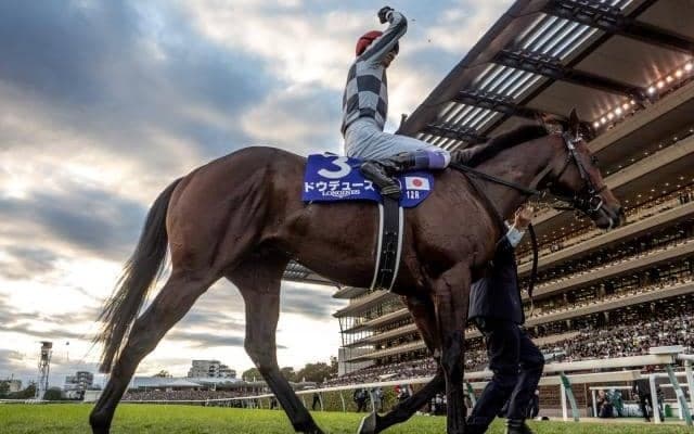 ドウデュースは202頭、イクイノックス＆ナダルは206頭 社台スタリオンステーションが今シーズンの交配頭数を発表  　