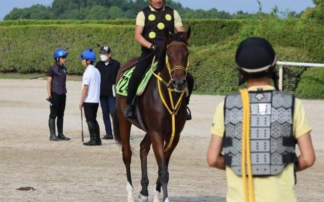 アメリカンダンスなど、先週のゲート試験/栗東トレセンニュース