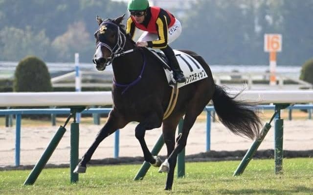 【紫苑S予想オッズ】リンクスティップが予想1番人気