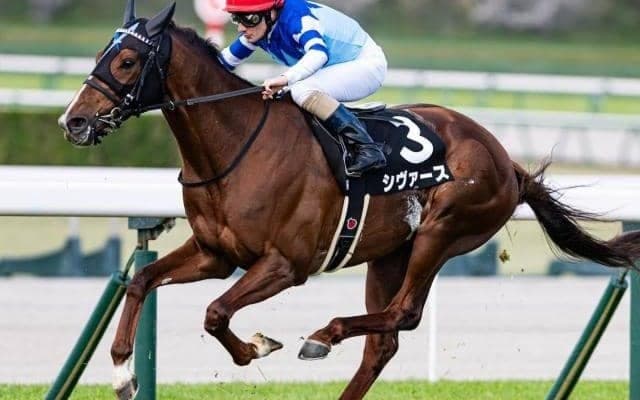 【京成杯AH】「大魔神」佐々木主浩オーナーのシヴァース 今度こそ重賞初制覇なるか