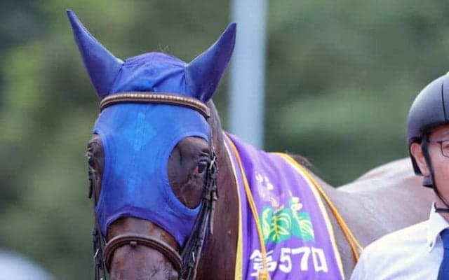 【盛岡・不来方賞】田中博師「大井へいきたい」断然人気ナルカミが圧勝