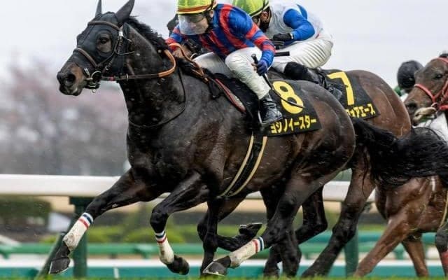 【セントウルS】中尾秀正調教師が12年ぶりのJRA重賞制覇へ ヨシノイースターが初タイトル狙う