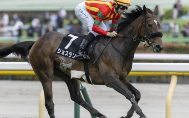 【紫苑S】全兄はGI・3勝のエフフォーリア ジョスランが重賞初制覇なるか