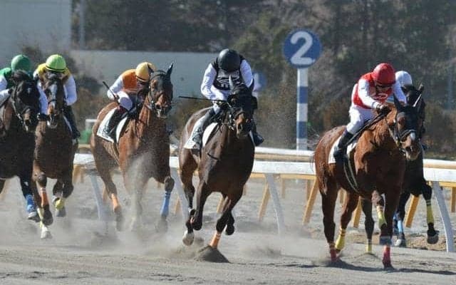競馬学校からデビューの新人騎手が初めて0人　退学・留年者が相次ぎ