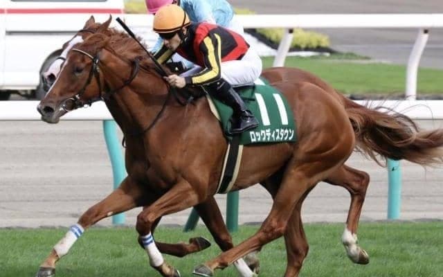 オルフェーヴル産駒の重賞初制覇 ロックディスタウンが制した17年札幌2歳S