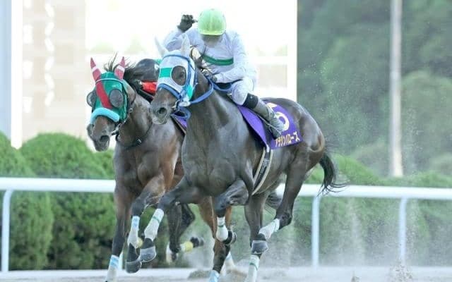 【佐賀・サマーチャンピオン注目馬】出走メンバーの半数が3歳馬 フレッシュな顔ぶれのダート短距離重賞
