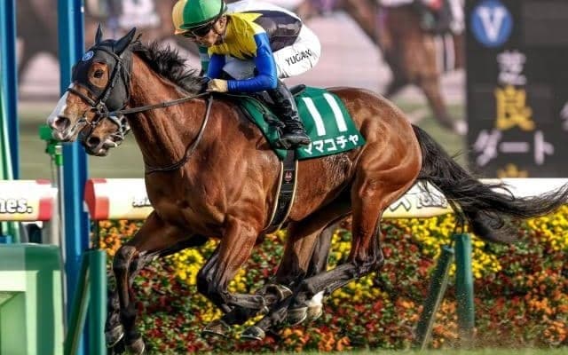 【セントウルS出走馬・騎手確定】ママコチャ＆岩田望来騎手、トウシンマカオ＆横山武史騎手など16頭