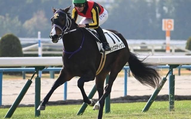 【紫苑S出走馬・騎手確定】リンクスティップ＆北村友一騎手、ジョスラン＆C.ルメール騎手など13頭