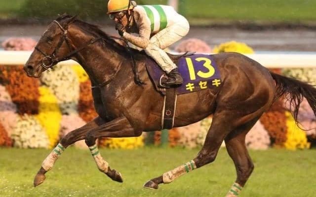 キセキ産駒のJRA初勝利なるか 土曜日に2頭がデビュー