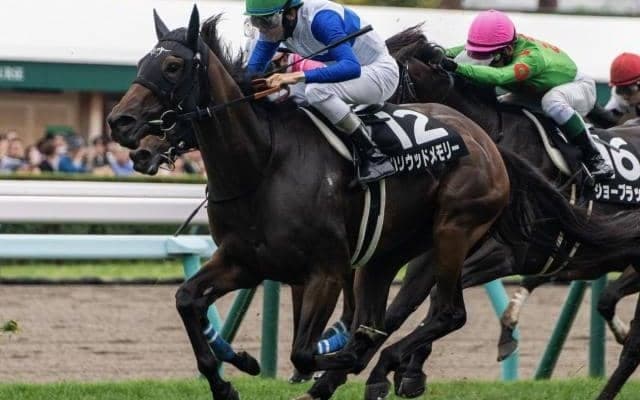 【札幌スポニチ賞】全兄はGI・2勝のダノンスマッシュ ハリウッドメモリーが連勝なるか