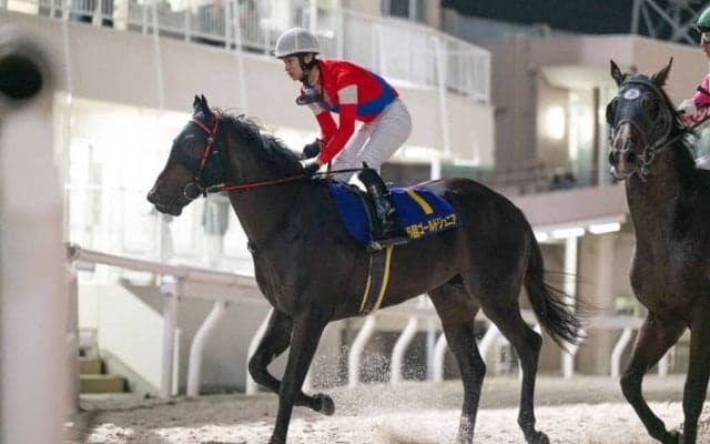 【大井・ゴールドジュニア】総売得金18億超で盛況