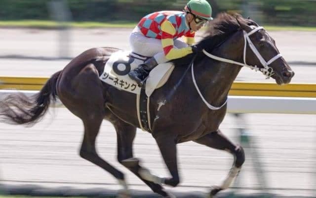 【札幌2歳S】コントレイル産駒の重賞初制覇なるか ジーネキングが初の洋芝に挑戦だ
