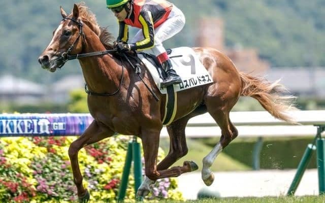 【札幌2歳S枠順確定】ロスパレドネスは6枠8番、スマートプリエールは8枠11番