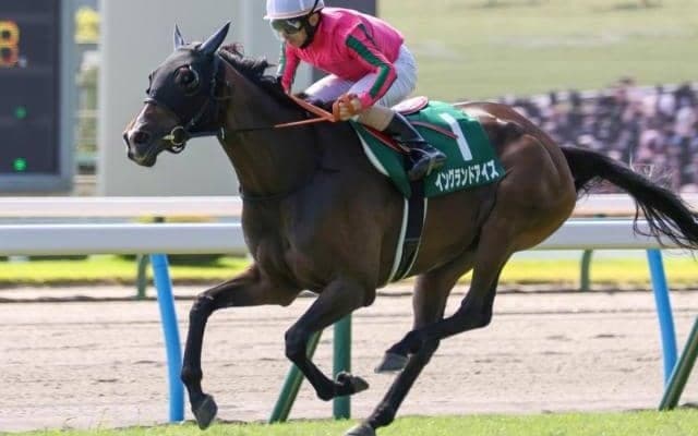 【チャレンジC想定馬・騎手】イングランドアイズ、サブマリーナなど16頭