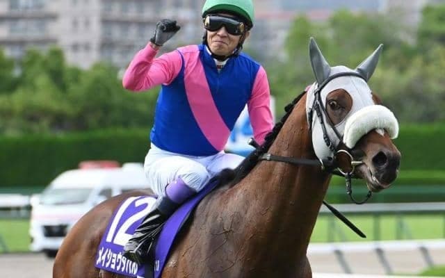 「アイドルホースオーディション2025」最終結果 3頭が新たにぬいぐるみ化