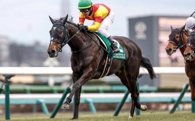 【今日の注目ポイント】札幌2歳Sと中山で京成杯AHの2重賞