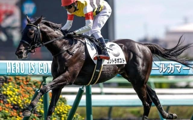 【京成杯AH予想】秋競馬の開幕告げるハンデ重賞 サマーマイル王者はどの馬に