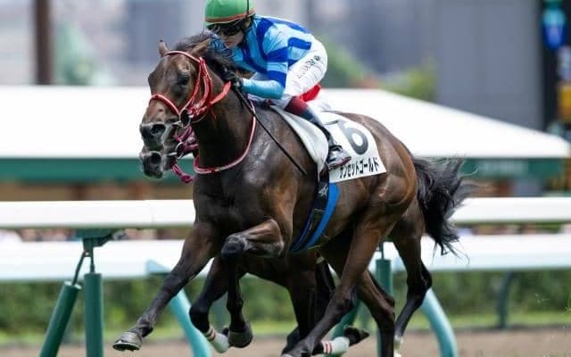 【札幌2歳S予想】来年のクラシックを占う重要な一戦 能力の比較が難しい重賞を制すのは