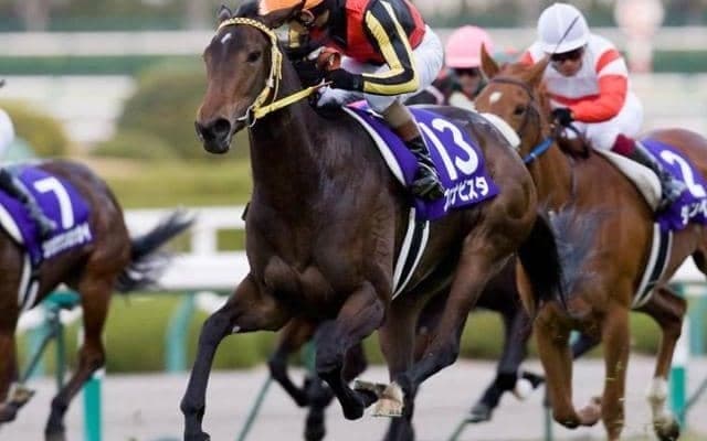 9月6日は妹の日 姉と同じGIを制した“唯一”の妹は？