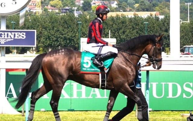 【ムーランドロンシャン賞】日本馬ゴートゥファーストは7番ゲートへ