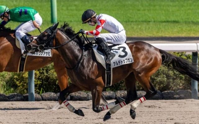 【新馬/中山6R】ナダル産駒 アルデトップガンが豪快な差し切りV