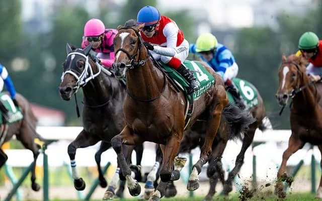 【札幌2歳S結果】ショウナンガルフが豪快に差し切り無傷2連勝！ 池添謙一騎手はJRA重賞100勝達成