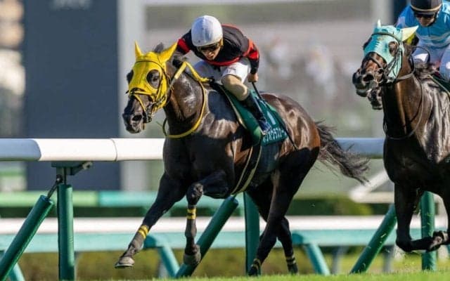 【京成杯AH】軽量ホウオウラスカーズが突き抜けて波乱