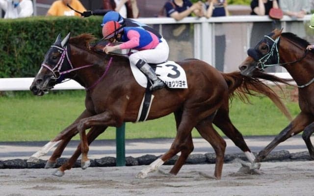 【札幌12R】プラス36kg・初ダートのメイショウツヨキが快勝