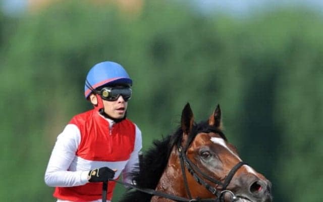 【札幌2歳S】池添「新馬前から楽しみにしていた馬」ショウナンガルフが重賞初制覇