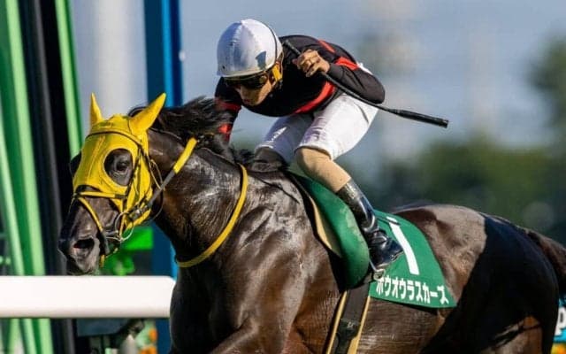 【京成杯AH】木幡巧「感謝したい」ホウオウラスカーズが波乱を演出