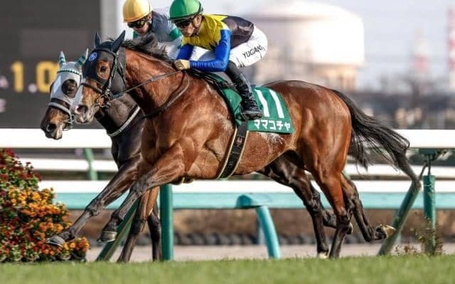 【今日の注目ポイント】中山で紫苑Sと阪神でセントウルS