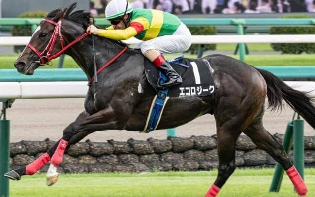 【セントウルS】国内3戦3勝のエコロジーク 連勝で重賞初制覇なるか