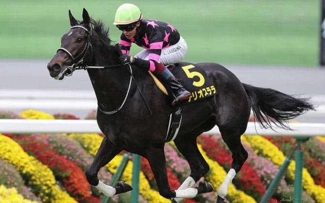 【競馬予想】中山開幕週の紫苑Ｓは今年も高速決着か　穴党記者が目をつけた好位で運べる伏兵２頭
