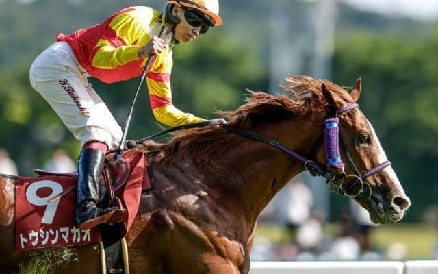 【セントウルS・馬体重】トウシンマカオは472kg(-14)、ママコチャは498kg(+6)