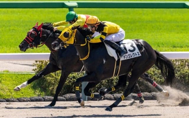 【中山3R】断然人気ドンエレクトスが抜け出す