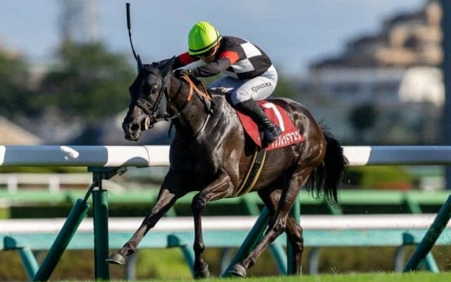 【紫苑S】伏兵ケリフレッドアスクが逃げ切る…リンクスティップは着外