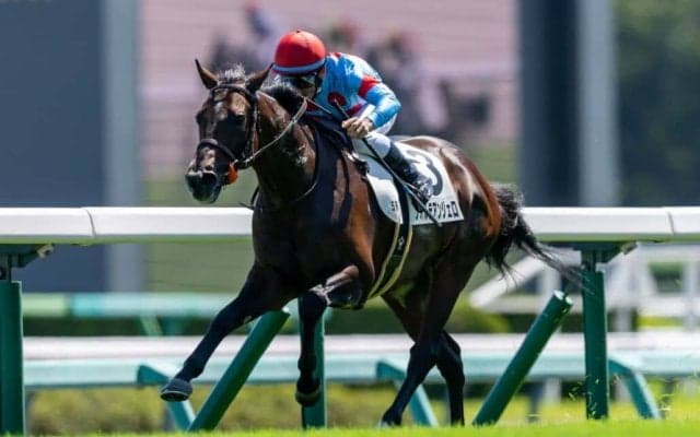 【新馬/中山5R】フィエールマン産駒  フォルテアンジェロが人気に応える