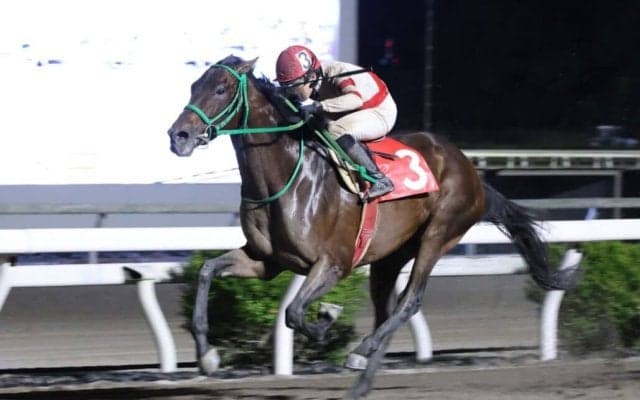 【高知競馬】多田羅誠也騎手が地方通算500勝達成