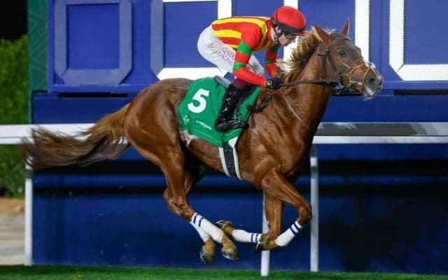 【仏・フォワ賞結果】ビザンチンドリームが海外重賞2勝目！ いざ凱旋門賞へ！