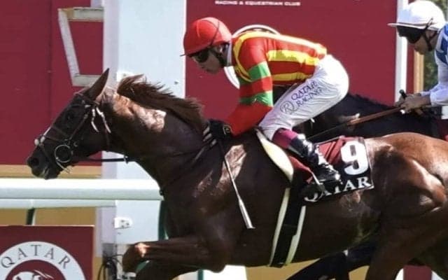 【仏フォワ賞】マーフィー「馬場状態が最大のカギ」…ビザンチンドリームいざ凱旋門賞へ