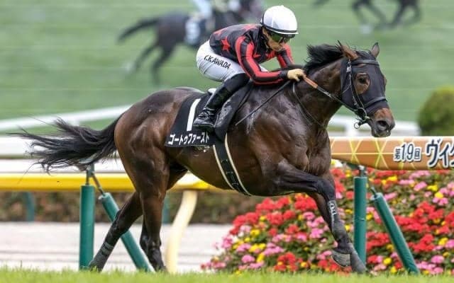 【仏・ムーランドロンシャン賞結果】ゴートゥファーストは11着 地元の3歳馬サーランがV
