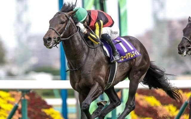 3日間開催でセントライト記念など3重賞/今週の競馬界の見どころ