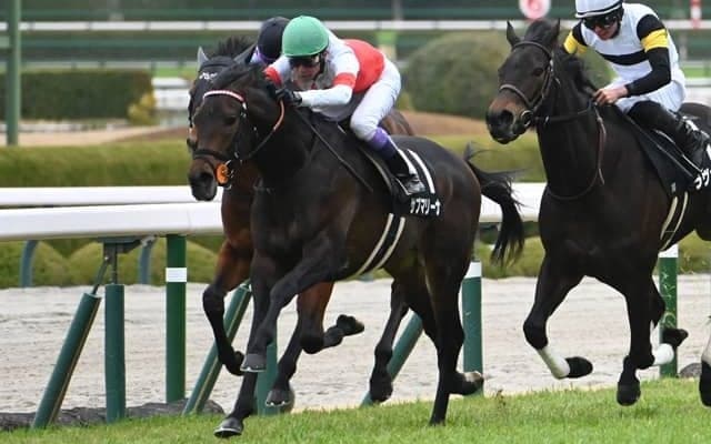 【チャレンジC見どころ】成長が顕著のサブマリーナが初重賞奪取だ