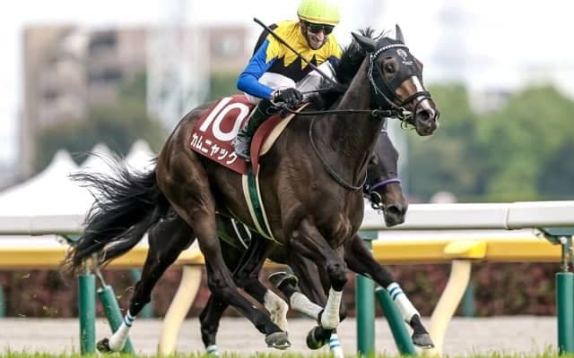 【ローズS見どころ】満を持して登場カムニャック